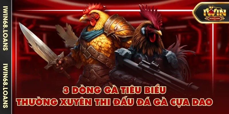3 dòng gà tiêu biểu thường xuyên thi đấu đá gà cựa dao