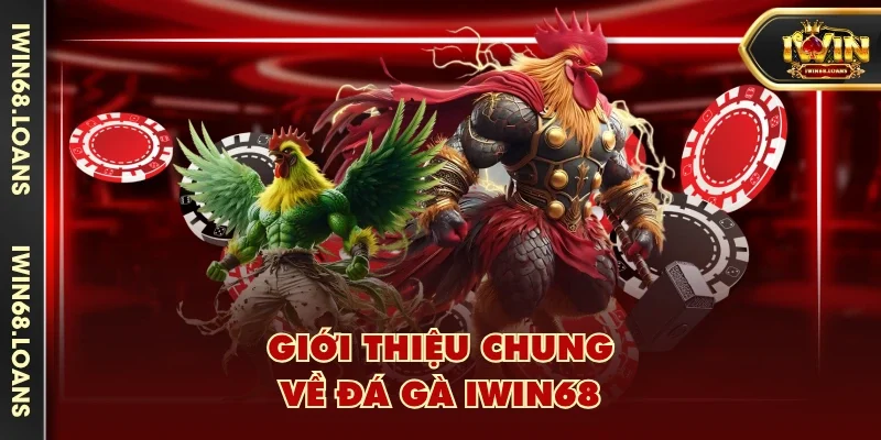 Giới thiệu chung về đá gà IWIN68