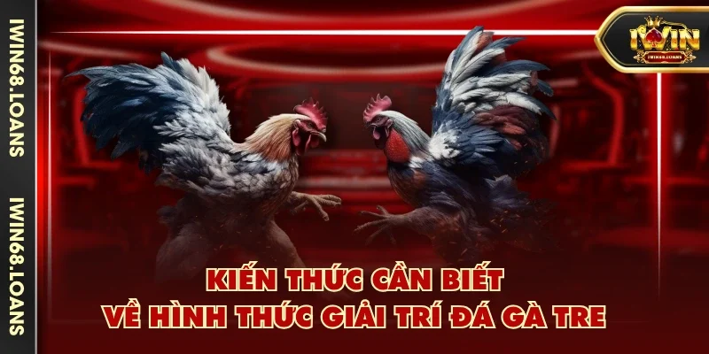 Kiến thức cần biết về hình thức giải trí đá gà tre