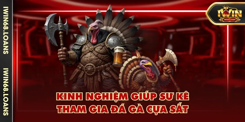 Kinh nghiệm giúp sư kê tham gia đá gà cựa sắt