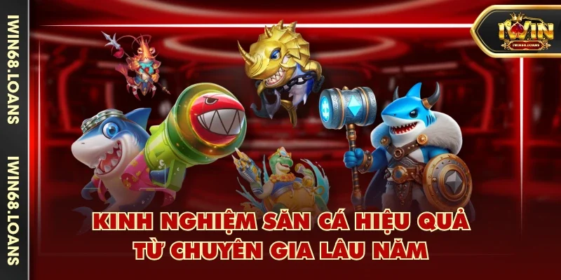 Kinh nghiệm săn cá hiệu quả từ chuyên gia lâu năm
