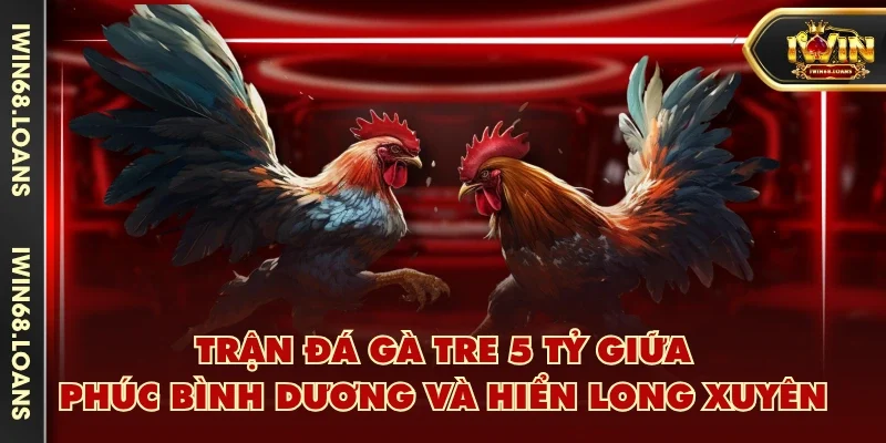 Trận đá gà tre 5 tỷ giữa Phúc Bình Dương và Hiển Long Xuyên